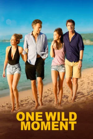 Download One Wild Moment (2015) {French Audio With English Subtitles} WEB-DL 480p [300MB] || 720p [950MB] || 1080p [1.94GB]