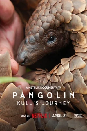 Download Pangolin: Kulu’s Journey (2025) WEB-DL Dual Audio {Hindi-English} 480p [320MB] | 720p [760MB] | 1080p [3.4GB]