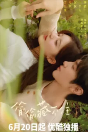 Download Hidden Love (Season 1) S01E02Added Dual Audio {Hindi-Chinese} Series 480p 720p & 1080p WEB-DL
