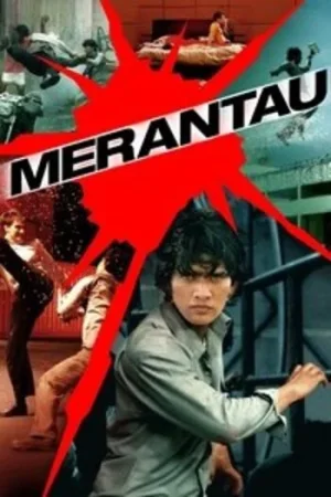 Download Merantau (2009) BluRay Dual Audio {Hindi-English} 480p [490MB] | 720p [1.1GB] | 1080p [2GB]