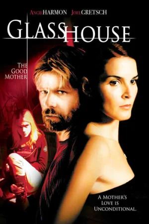 Download Glass House The Good Mother (2006) Dual Audio {Hindi-English} BluRay 480p [350MB] | 720p [950MB]