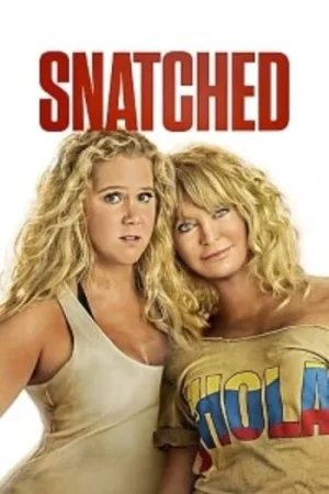 Download Snatched (2017) Dual Audio {Hindi-English} BluRay 480p [300MB] | 720p [950MB]