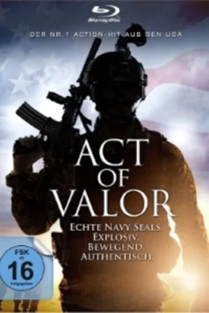 Download Act of Valor (2012) BluRay Dual Audio {Hindi-English} 480p [335MB] | 720p [1.2GB] | 1080p [2.8GB]