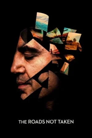 Download The Roads Not Taken (2020) Dual Audio {Hindi-English} BluRay 480p [300MB] | 720p [800MB] | 1080p [2.1GB]